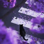 Аватар пользователя TheVoidFoxX079