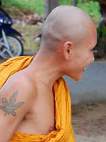 Аватар пользователя Dr.unkbuddha