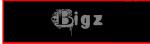 Аватар пользователя BIGZ