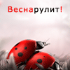 Аватар пользователя Kotja