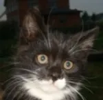 Avatar of user Obskuro