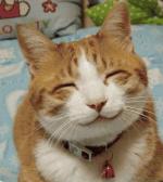 Avatar of user олик