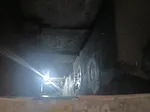 Аватар пользователя Blut eines kreativen Anarchisten