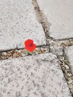 Аватар пользователя Наташа