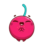 Captain_Cherry