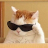 Avatar of user Varenichek