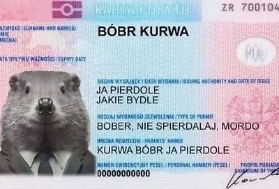 Инженер без диплома #2