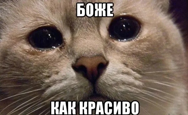 Рандомные фото неба #1