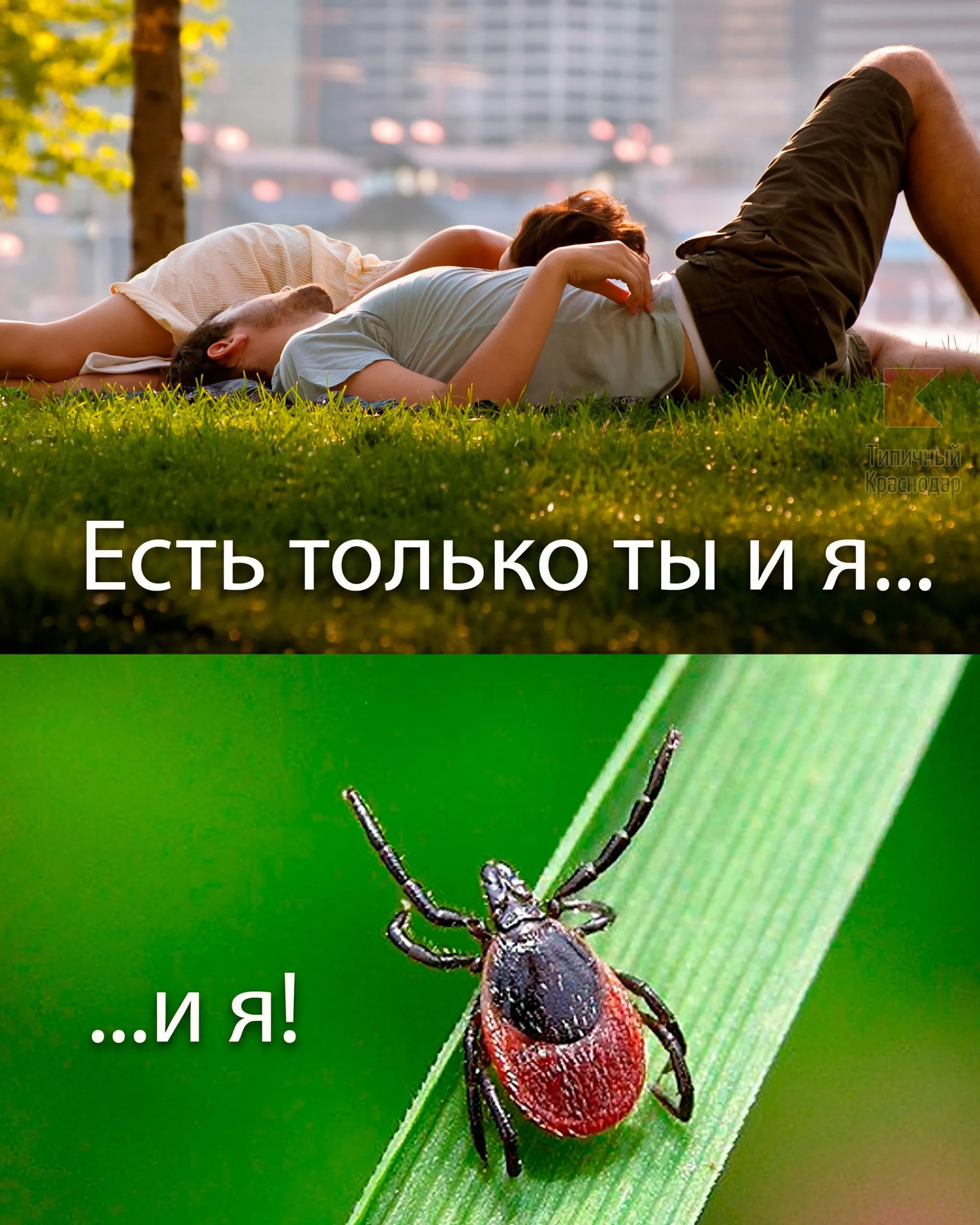 Тем временем #1