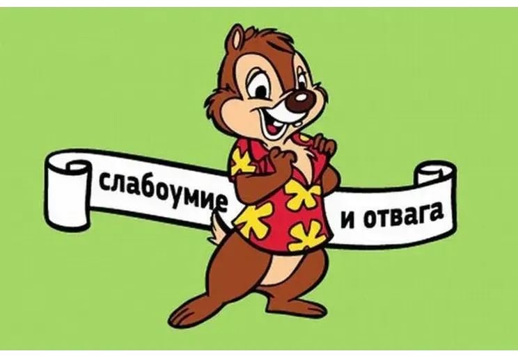 Среда, мяуи чуваки 😎 #1