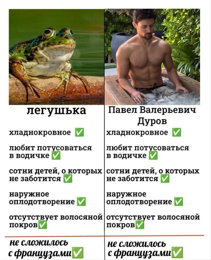 Лягушка vs Дуров #1