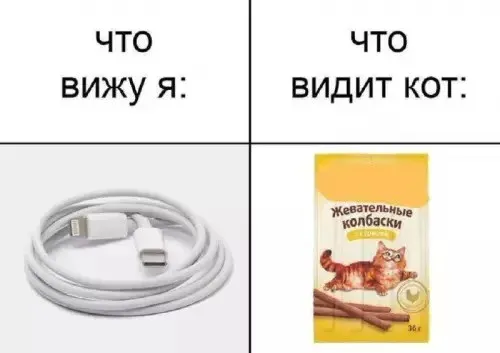 Провод #1