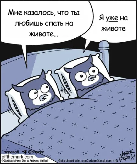 Совы #1