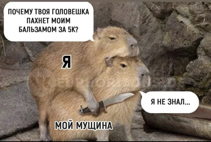 Не берите чужое #1
