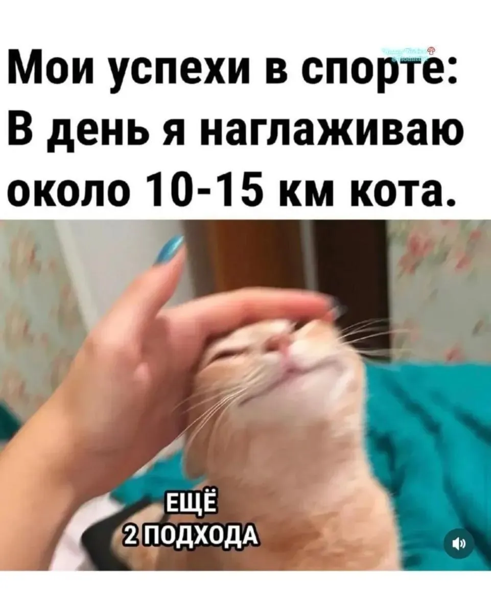 Спортивные успехи #1