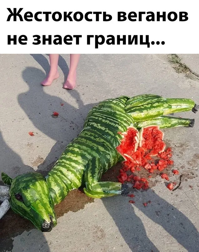 Ох уж эти веганы #1