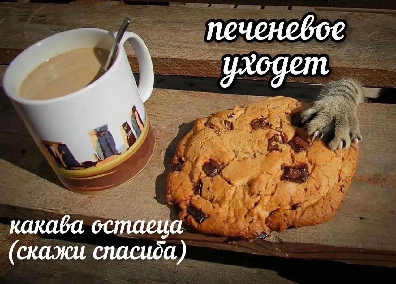 Скажи спасибо #1