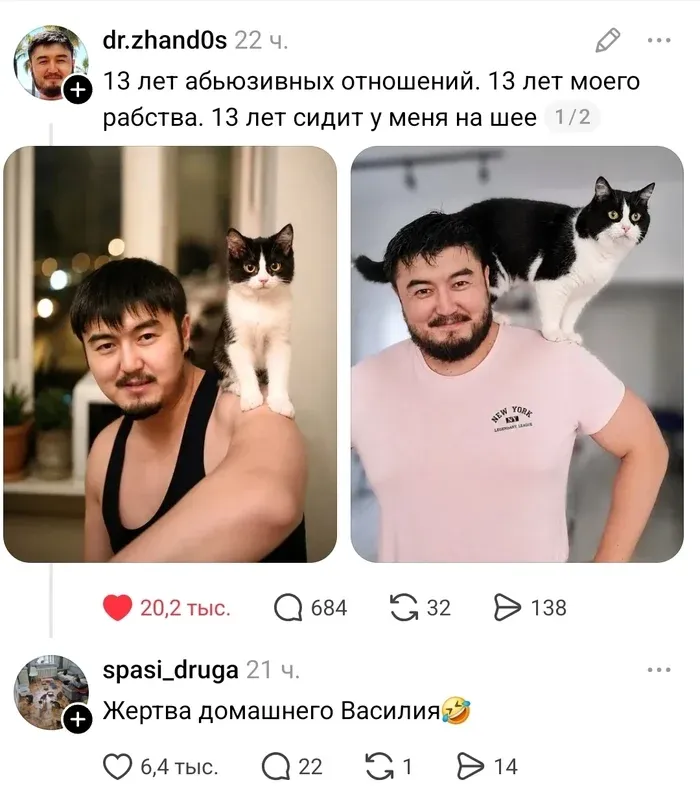 Жертва домашнего Василия #1