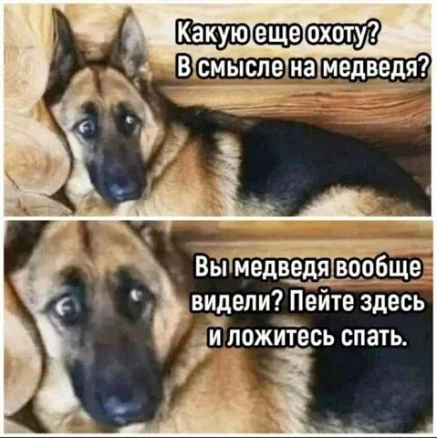 Неожиданная охота #1