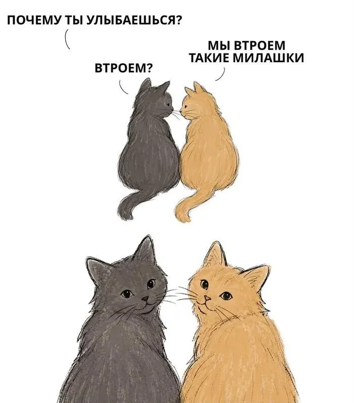 Втроем #1