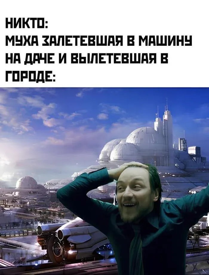 Путешествие мухи #1