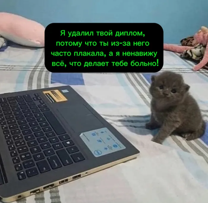 Заботливый кот #1