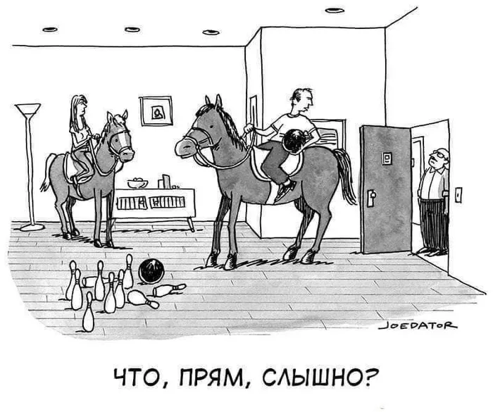 Соседи #1