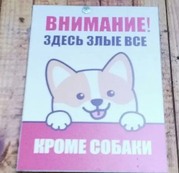 "Злая" собака #1