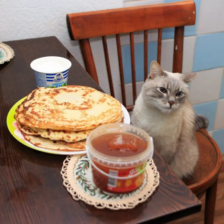 Злобные доли мозга #2