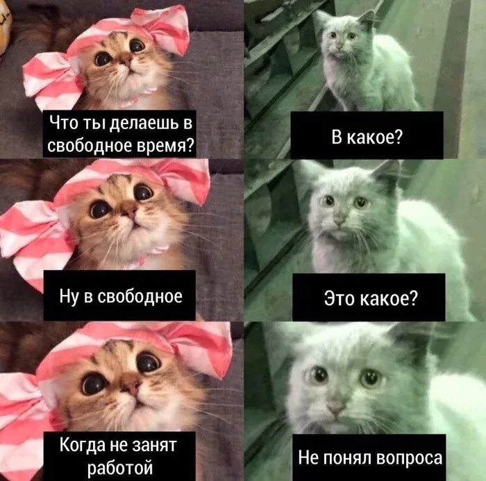Про работу #1
