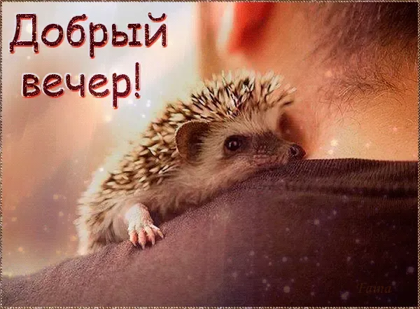 Доброе утро! #2