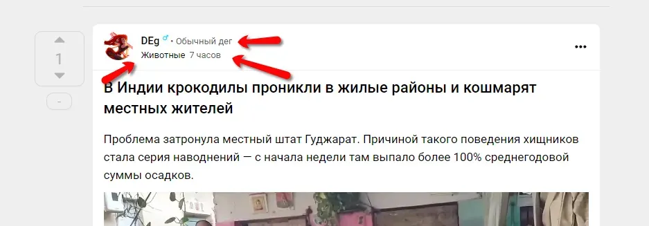 Сокращенный заголовок [фидбек] #4