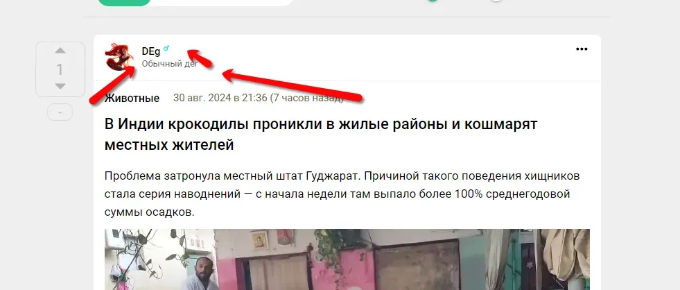 Сокращенный заголовок [фидбек] #2