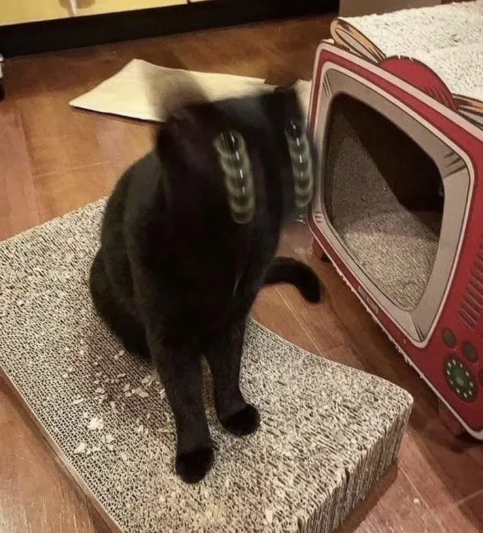 Многоглазик #1
