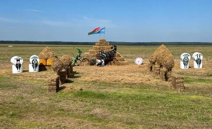 Тем временем в Беларуси. Увидите у дороги огромного богомола и скорпиона — не пугайтесь. Они «борются» за 2800 рублей. #4