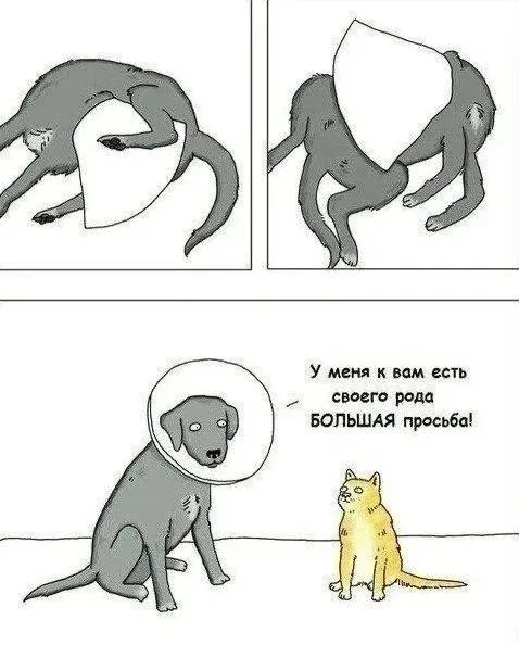 Задача для кота #1