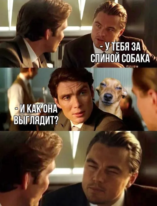 Собака сзади #1