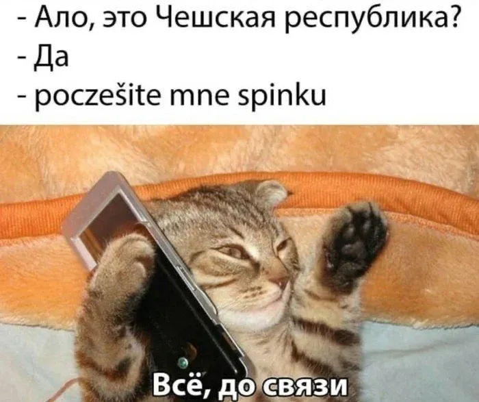 Чешский #1
