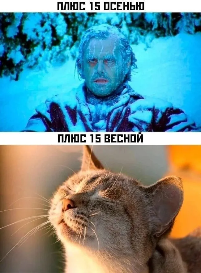 Разница восприятия #1