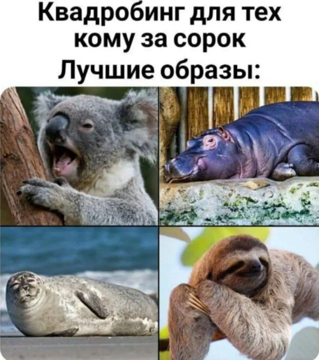 Квадробинг за 40 #1
