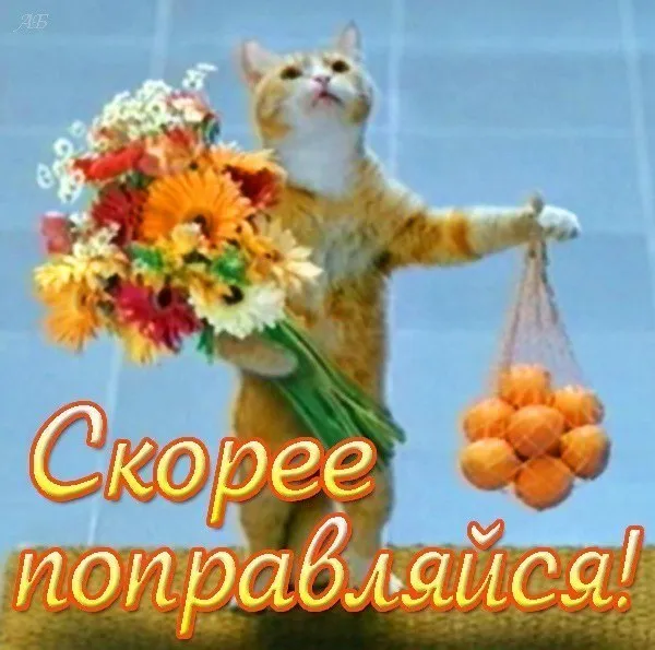 Среда обитания больной лягушки!! #2