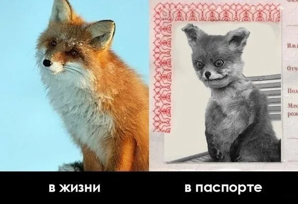 Как в жизни. #1