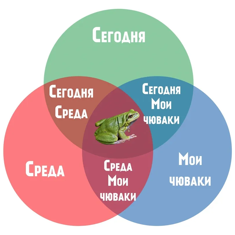 Среда #1