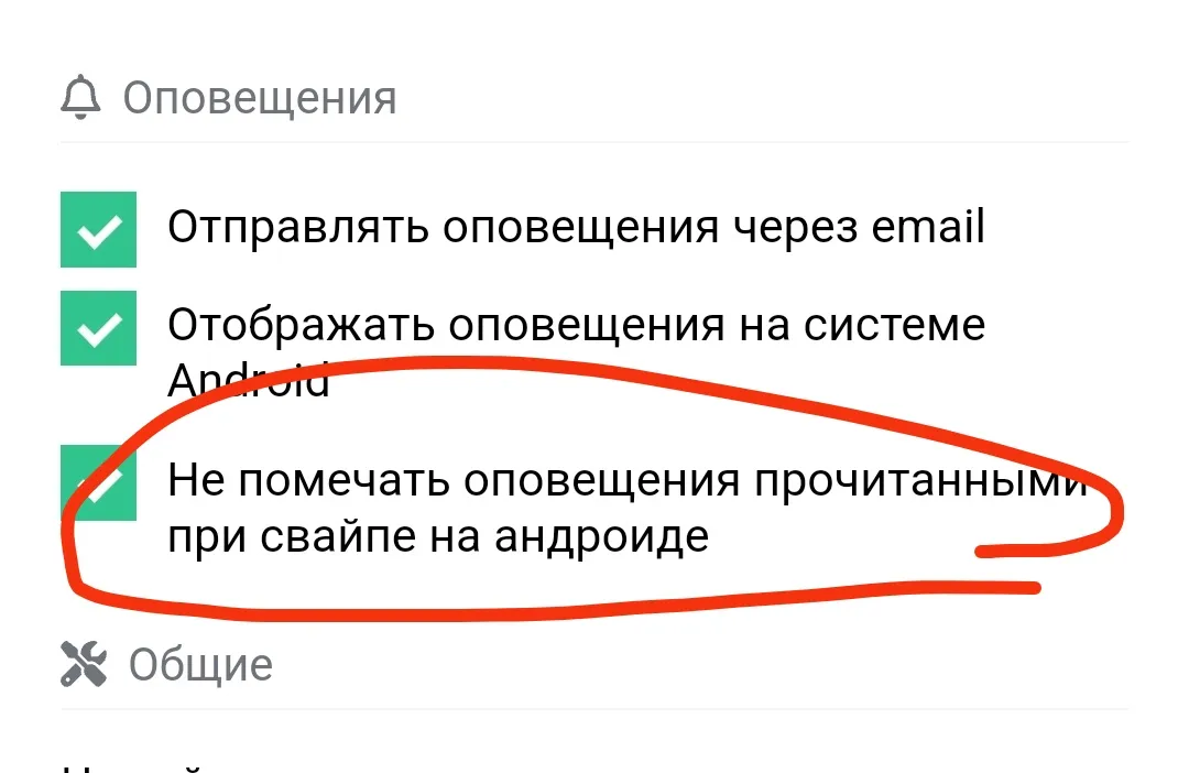 О котах и людях. #2