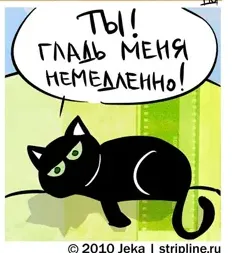Кошки-Мышки. Меланхолия. #1