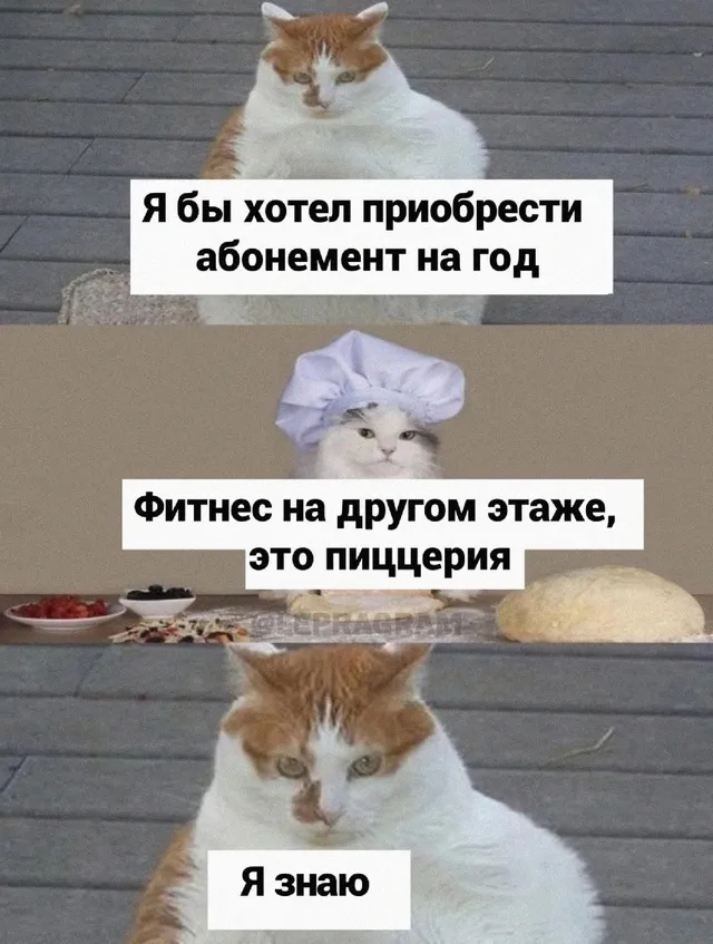 Пицца #1