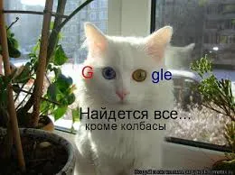 My Cat Is a Kawaii Girl - Ch.4. Кинако и тыкание #1