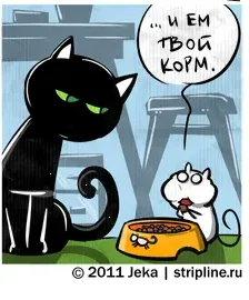 Кошки-Мышки (выпуск 11). #1