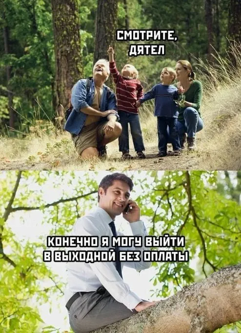 Дятел #1