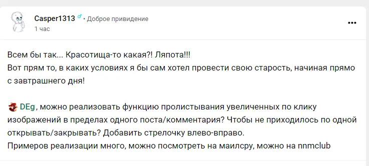 Возможность переключать картинки поста в зуме [фидбек] #2
